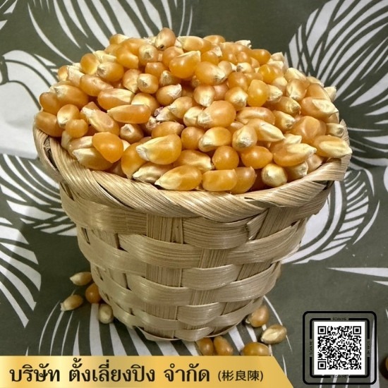ขายส่งข้าวโพด