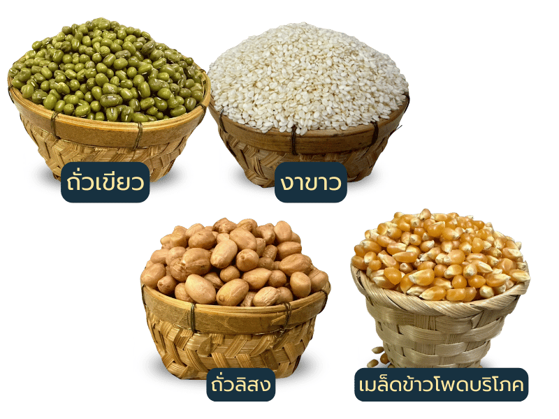 ร้านขายส่ง เมล็ดธัญพืช